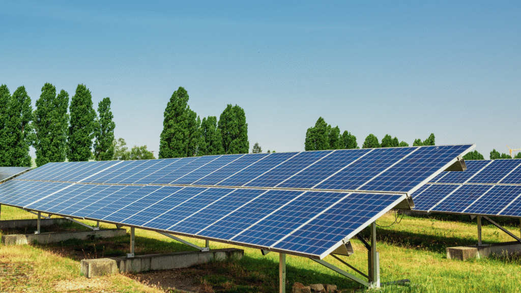 Rows of ground-mounted solar panels in a sunny field generating clean solar energy under a clear blue sky.